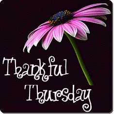 thankful-thursday.gif