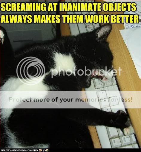 funny-pictures-ctrl-alt-meow.jpg