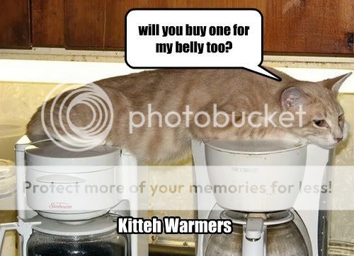 funny-pictures-kitteh-warmers.jpg