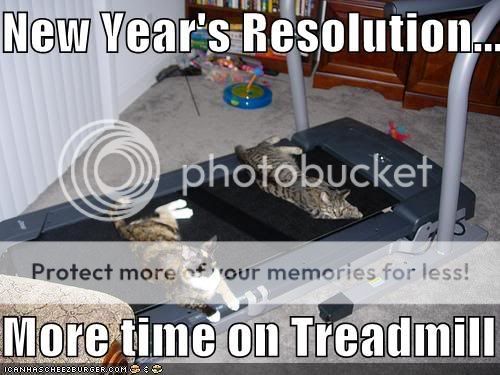 funny-pictures-resolution-cats-trea.jpg