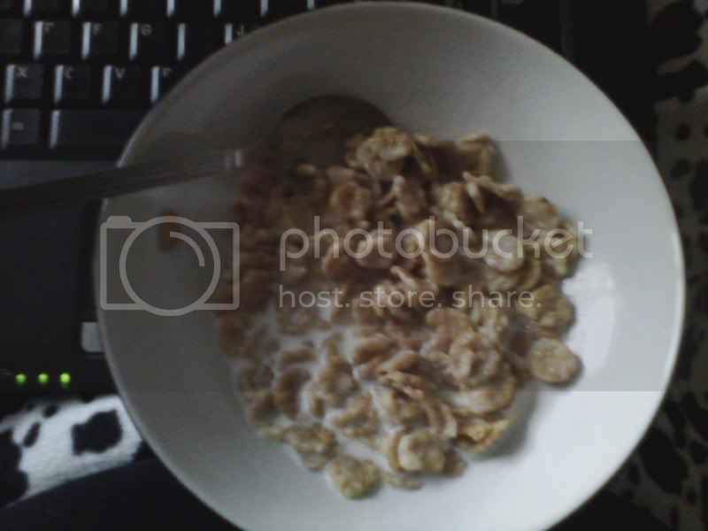 Breakfast130111.jpg