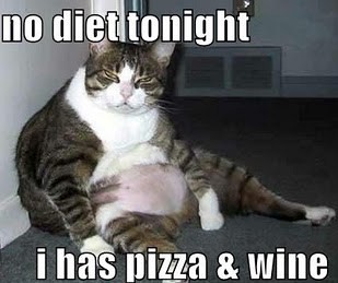 pizza-and-wine-no-diet-lol-cat.jpg