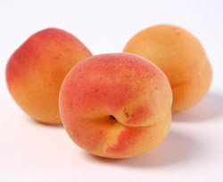 4_1_1_apricots.jpg