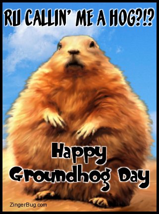 fat_groundhog.jpg